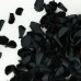 200Pcs Dried Real Black Rose Petals, Preserved Flower Petals 1.75oz for Gifts Wedding Party Decor, Flower Girl, Dinner Table Centerpieces, Bridal Shower, Confetti