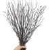 30Pcs Real Dried Birch Twigs - 17” Decorative 100% Natural Birch Branches for Easter Vases, Curly Willow Branches, DIY, Floral Arrangement, Twig Wreath, Centerpiece, Rustic Home Decor